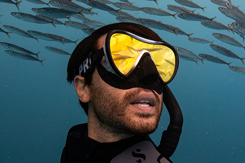 Mirrored lens eliminates underwater glare
