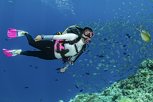Underwater scuba diver color-coordinated in pink gear swimming above a coral reef surrounded by fish.