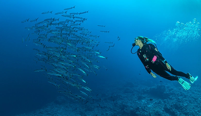 Diver wearing the SCUBAPRO Hydros Pro 2 buoyancy compensator swimming alongside a school of fish in open water.