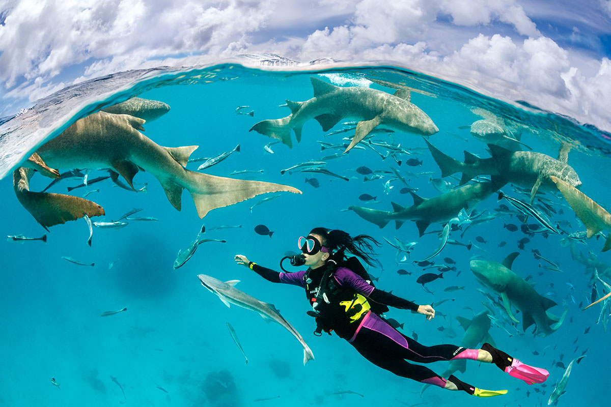 Buceador rodeado de tiburones en aguas cristalinas de las Maldivas