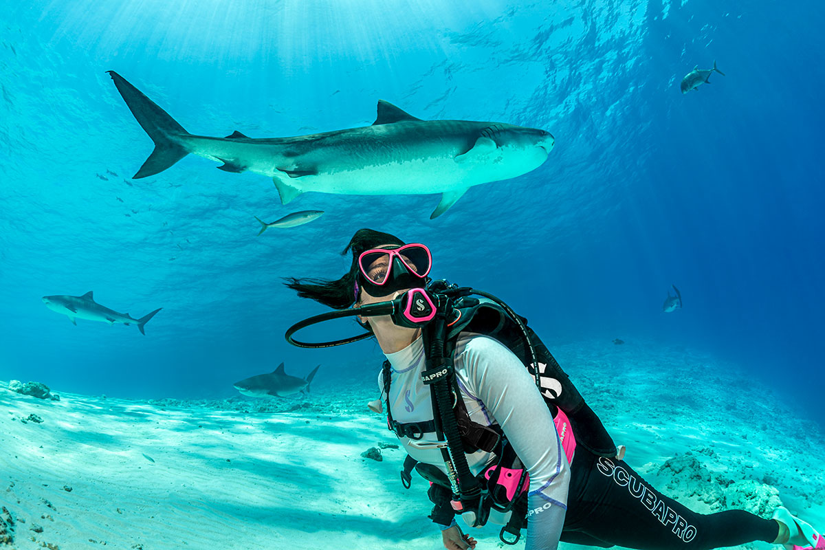 Buceador nadando bajo el agua cerca de tiburones