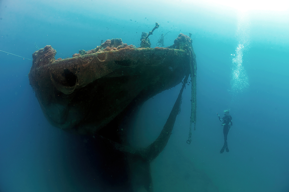 Diver Sonja Hadler