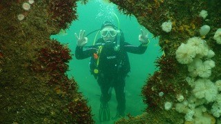 Norfolk diver