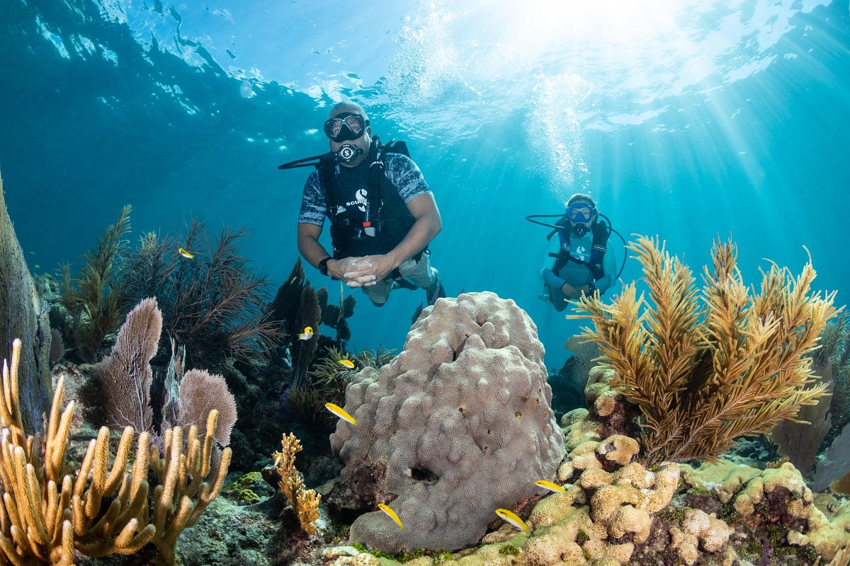 Scuba divers exploring Florida coral reefs