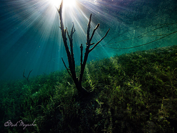 Sunlight in lake