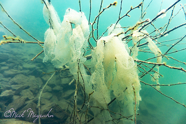 lake under water