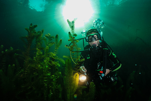 diver Steinbruchsee Riesenstein, Meißen