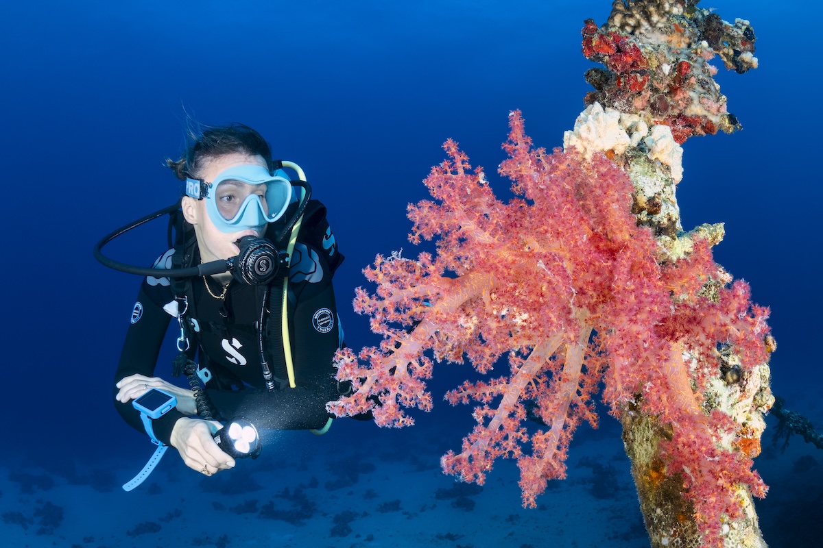 Best Scuba Diving in the World: 10 Top Locations - SCUBAPRO