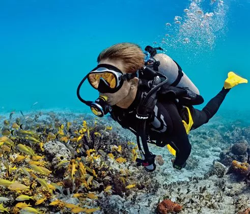 A Complete Gear and Equipment List for Scuba Diving