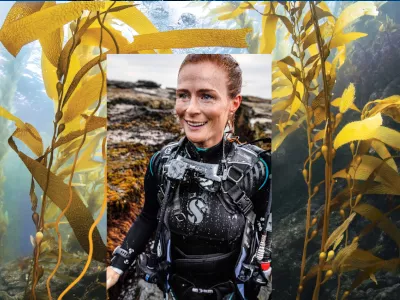 Amber Sparks - Quelles sont vos destinations de plongée 