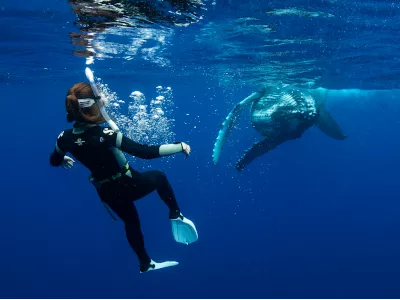 Amber Sparks - Pourquoi avez-vous commencé la plongée ?