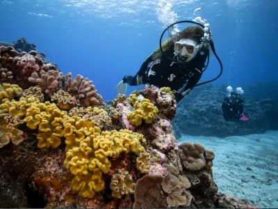 Amber Sparks - Comment les produits SCUBAPRO vous ont-ils aidé dans la pratique de votre passion ?