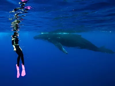 Emily Hazelwood - Comment les produits SCUBAPRO vous ont-ils aidé dans la pratique de votre passion ?