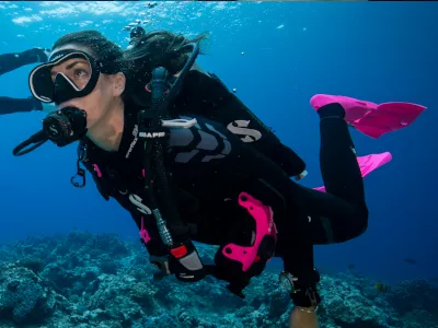 Pourquoi avez-vous commencé la plongée ?