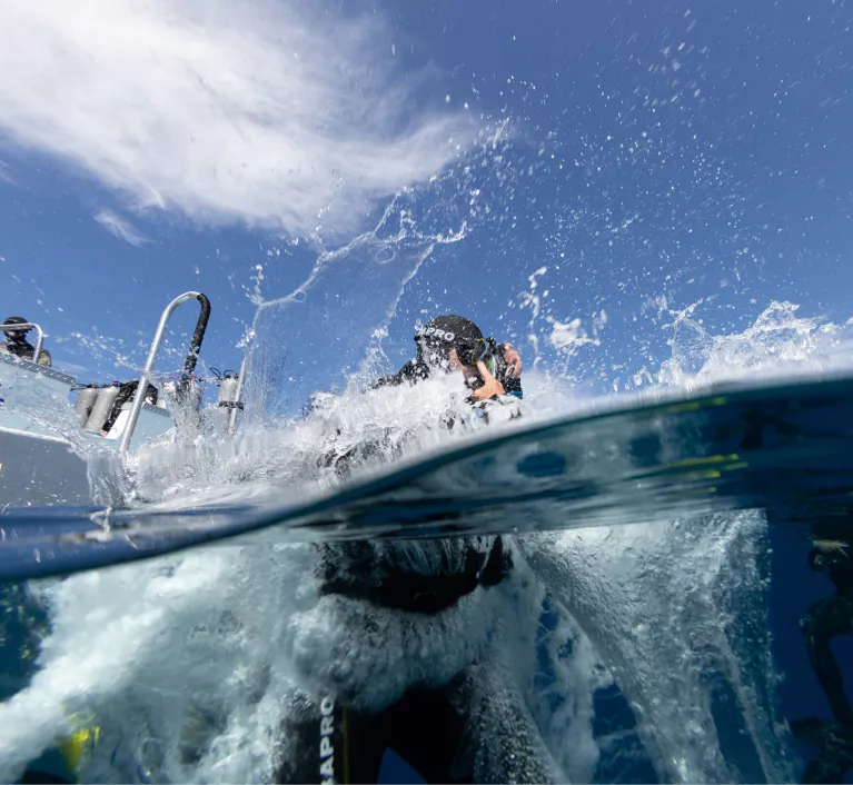 diver jumps into the ocean