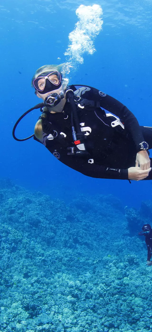 diver in the ocean