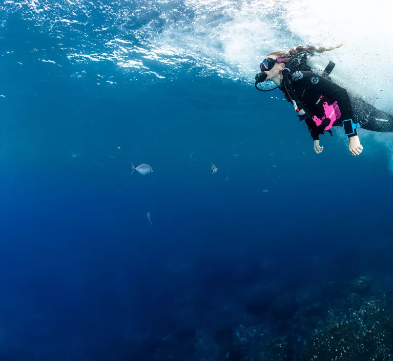 diver in the ocean