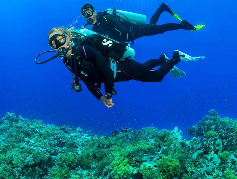 Find Your Best BCD Match