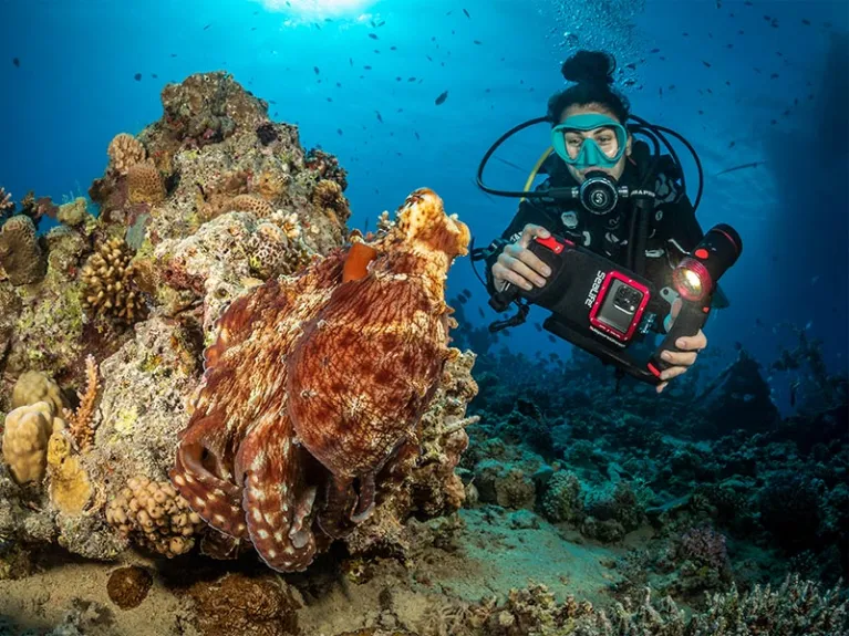 Diver shooting underwater photography with SeaLife SportDiver