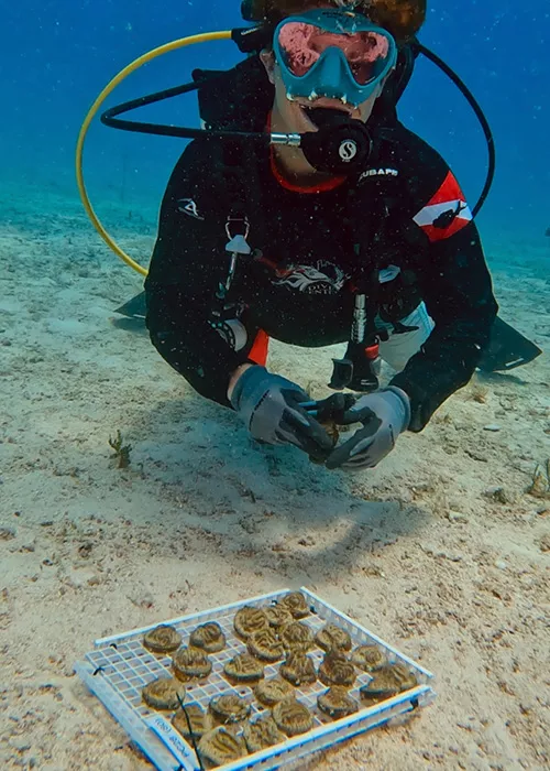 Event Journal July 2023 SCUBAPRO