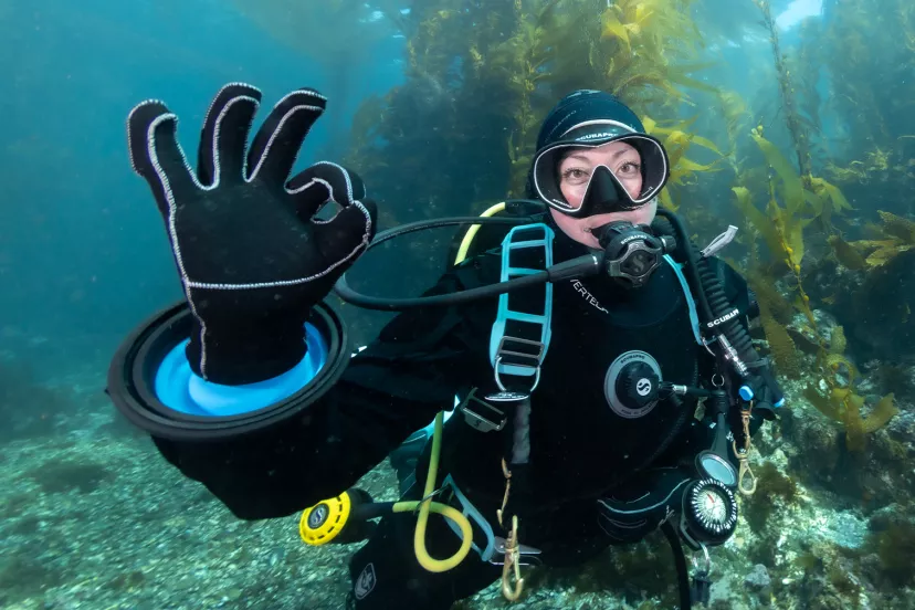 diver in cold water