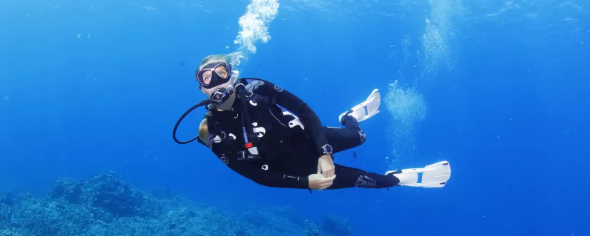 diver in the ocean